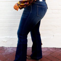 Cello Jeans New Arrivals High Rise Flare Jegging